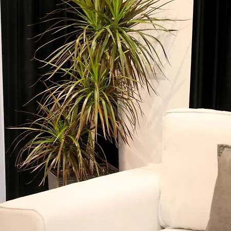 Oli Golden Apartamento