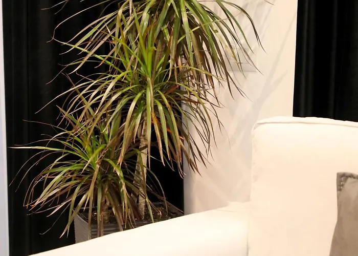 Oli Golden Apartment